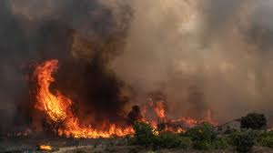 Wildfires Ravage North America Amid Record Heatwaves