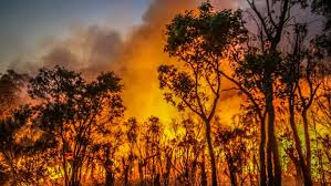 Australian bushfire prompts evacuation order