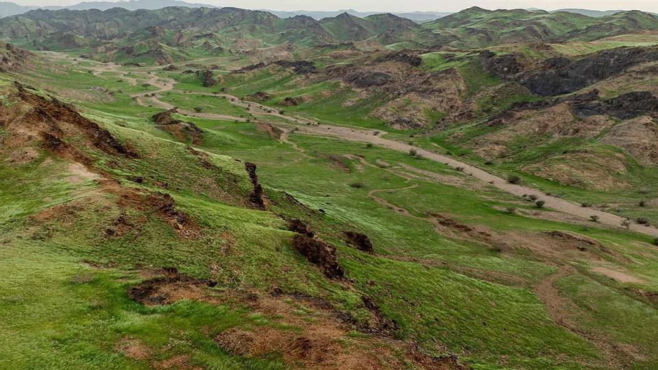 Mountains in Makkah turn green after heavy rainfall