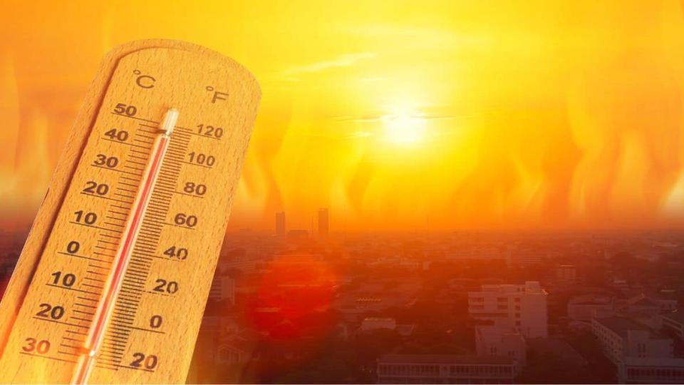 UAE records highest summer temperature of 49.9°C