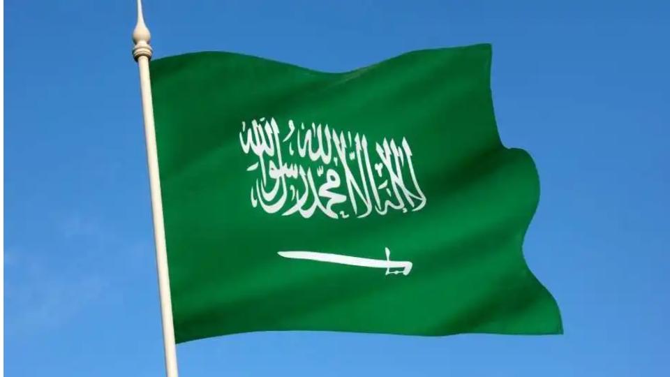 Saudi Arabia executes at least 101 foreigners including Indians in 2024