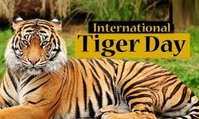 todayisinternationaltigerday