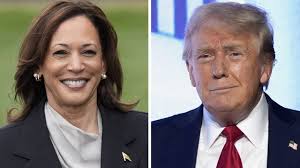 Kamala Harris responsible for increased illegal immigration: Trump