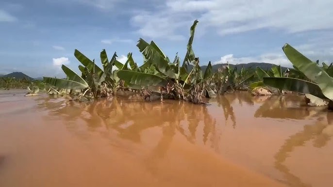 Myanmar Floods Death Toll Rises to 293