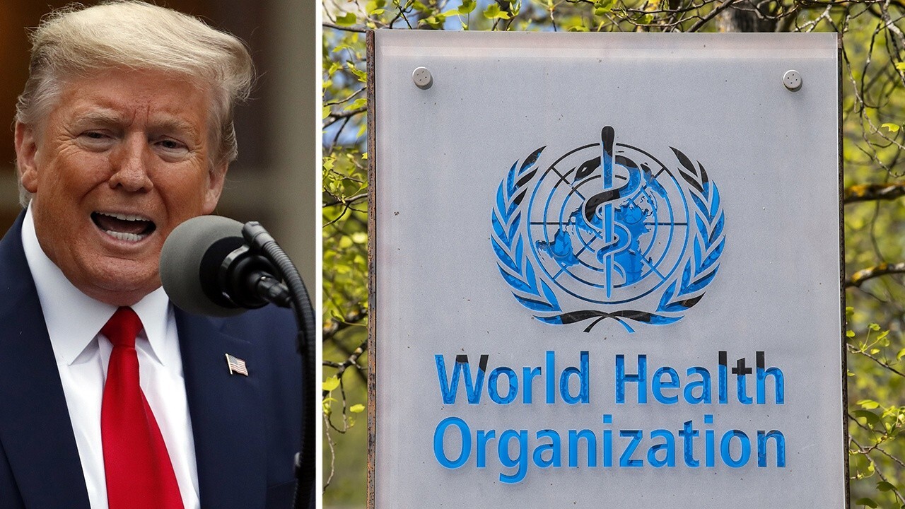 President Donald Trump announces US withdrawal from World Health Organisation