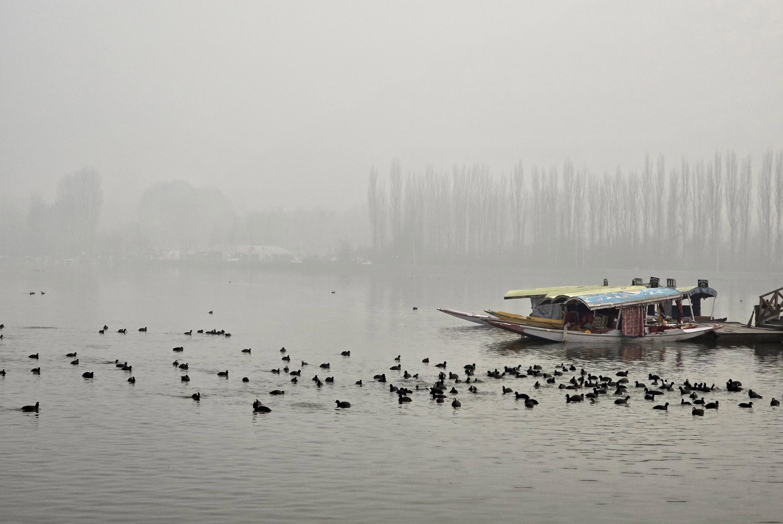 Kashmir reels under intense cold wave conditions across