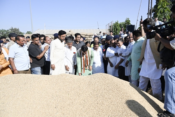 Nayab Singh Saini Reviews Paddy Purchase at Kurukshetra Grain Markets