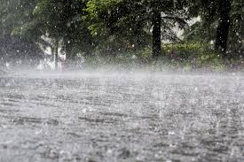 IMD Forecasts Heavy Rain in South