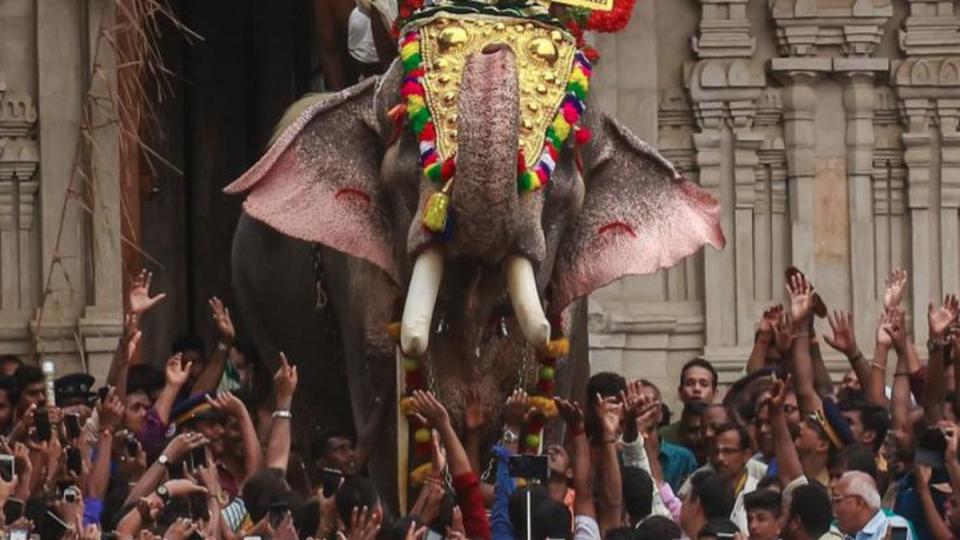 Kerala Temple Ends 120-Year Tradition of Elephant Parade