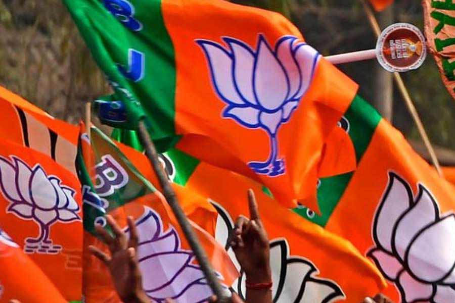 BJP releases 1st list of 29 candidates for Delhi Assembly polls