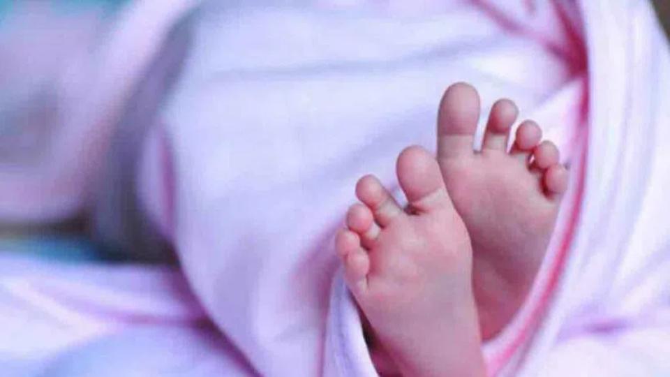 Toddler dies after tin shed collapses on her in Rajasthan