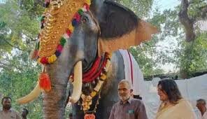 PETA offers life-like mechanical elephant to Kerala mosque for rituals