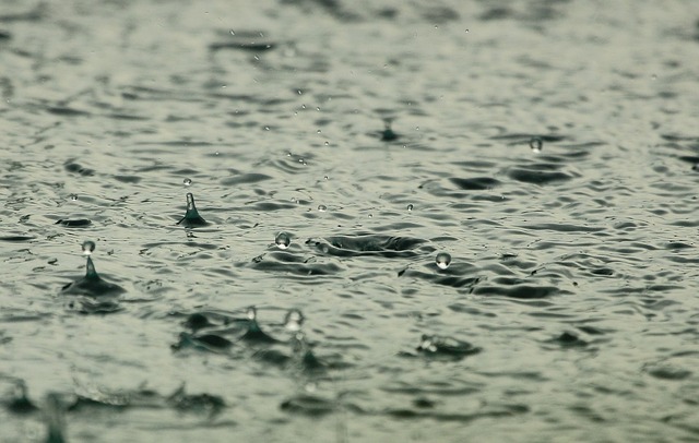 IMD forecasts very heavy to extremely heavy rainfall over Gangetic West Bengal, Odisha, Bihar, Jharkhand, and Chattisgarh today