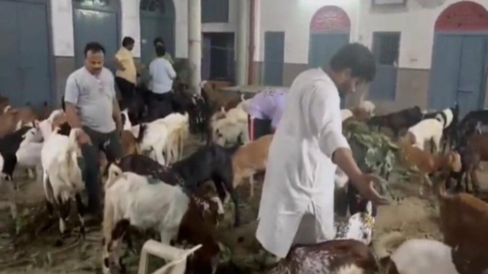 Jains pose as Muslims to ‘save’ 124 goats from Bakrid sacrifice in Delhi