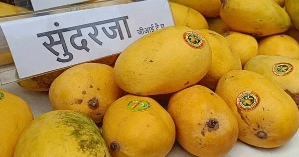 NABARD Organises ‘Mango Festival’ In Bhopal