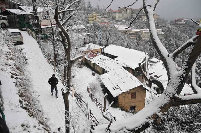 Snowfall and rainfall worsen cold wave in Himachal Pradesh