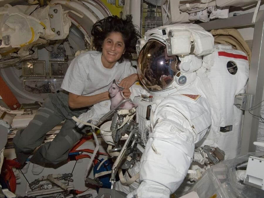 NASA astronaut Sunita Williams undertakes spacewalk amid challenges