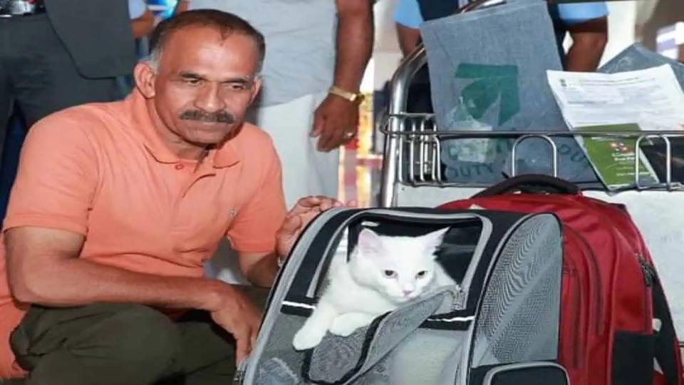 Eva becomes 1st pet passenger to land at Kochi airport from Doha