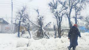 Heavy snowfall disrupts life in Kashmir