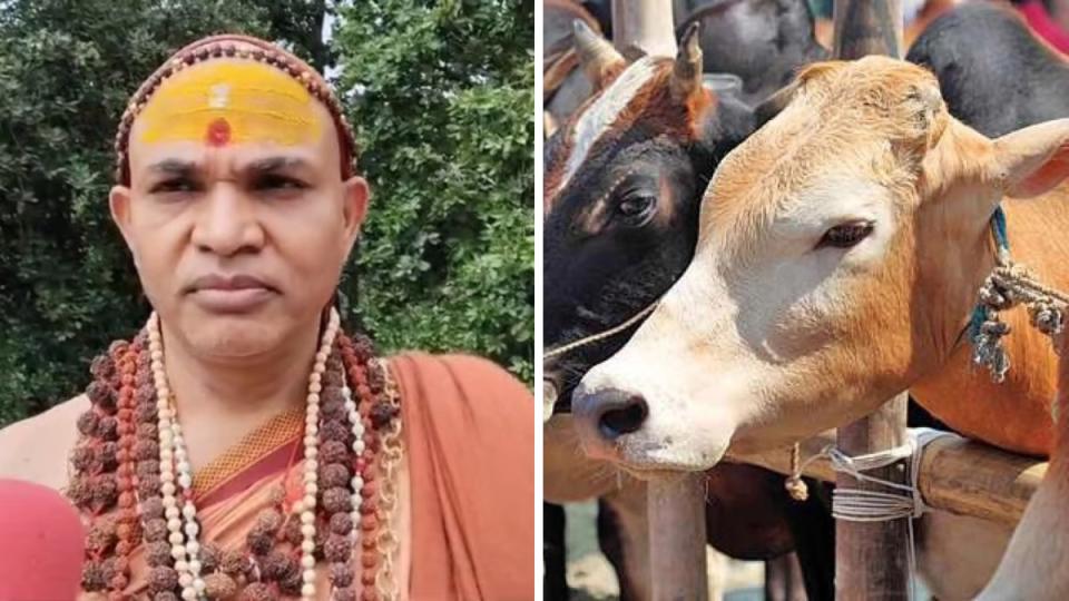 ‘Gau Mata Should Be Removed From Animal Category, says Shankaracharya Swami 