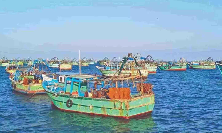 Sri Lankan Navy arrests 14 fishermen from Tamil Nadu