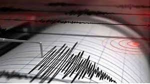 4.0 magnitude tremor hits Kutch in Gujarat