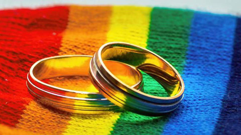 Andhra HC unites same sex couple, upholds right to live together