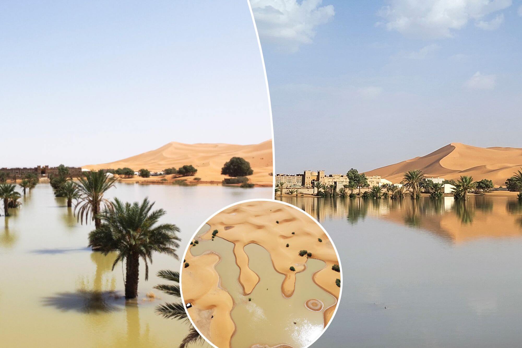 Sahara desert flooded for first time in 50 years after rare spell of rain