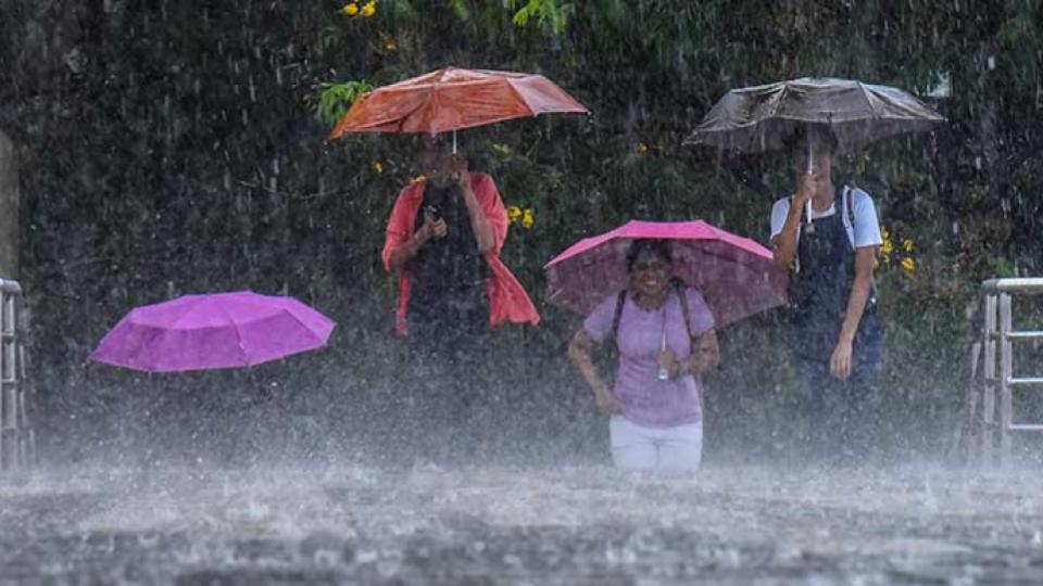 Heavy rains lash city, yellow alert issued for 11 districts in Bengaluru