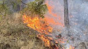 wildfiresflareupagaininuttarakhand