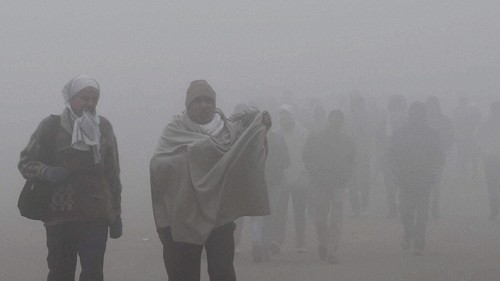 IMD forecasts cold wave to severe cold wave conditions to continue over Northwest India & Central India