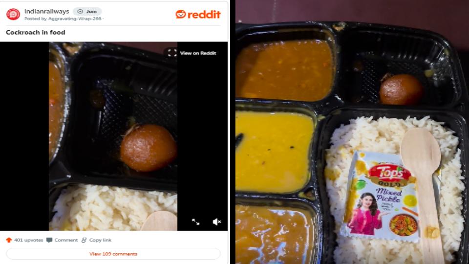 Passenger claims to find live cockroach served in IRCTC food