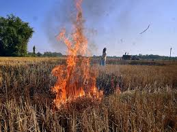 Haryana implements ‘Rajya Vishisht Yojana’ to curb stubble burning