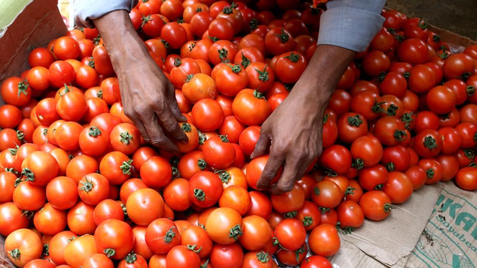 Tomato prices to cool down soon, says Consumer Affairs Secretary