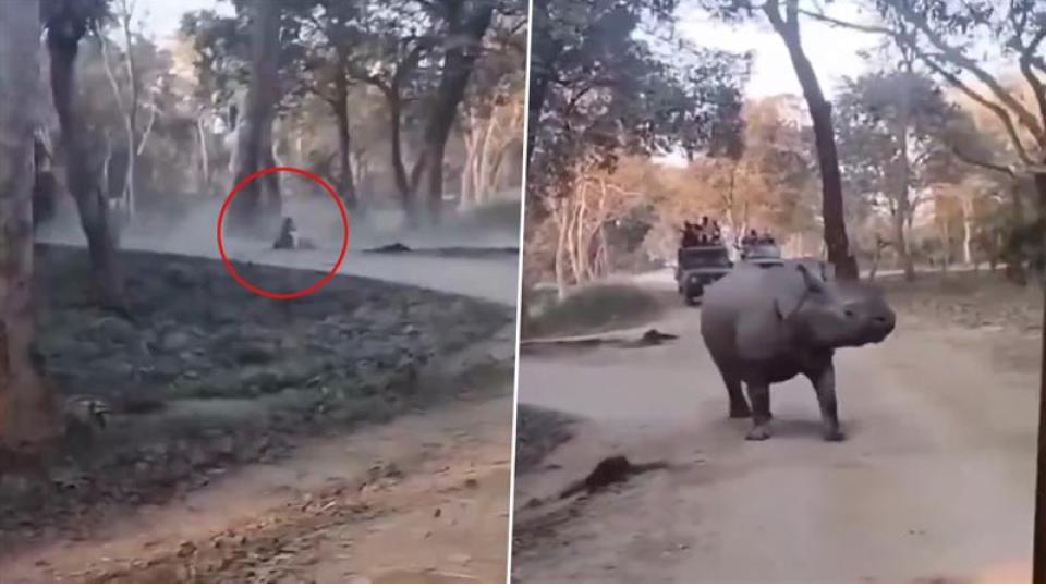 Mother, daughter fall from jeep, escape rhinos at Kaziranga National Park