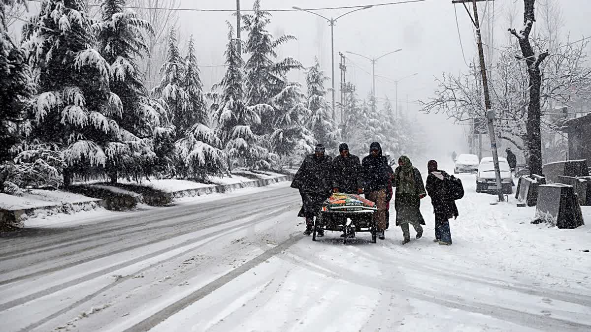 Fresh snowfall intensifies cold wave in Kashmir