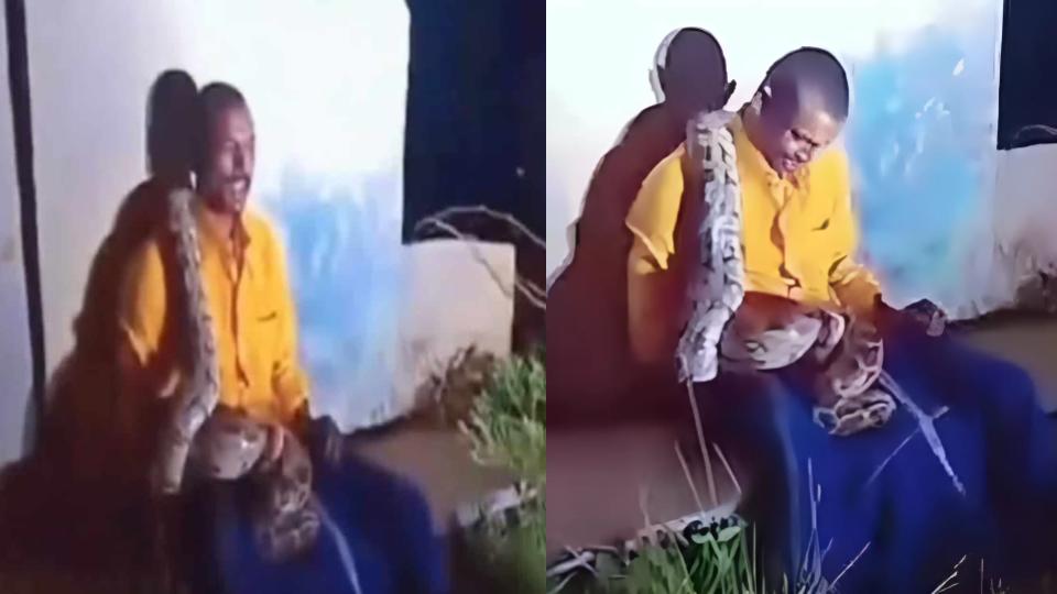 Python drapes around drunk man’s neck in Andhra Pradesh