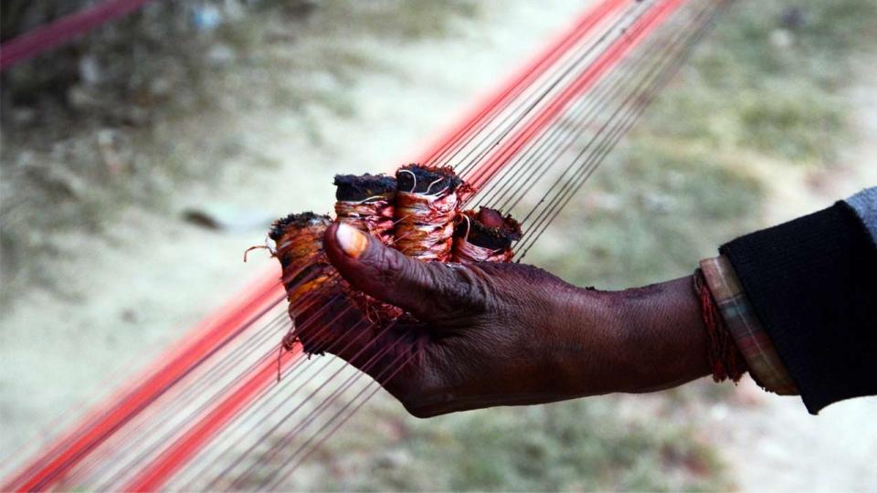 Karnataka bans metal, glass-coated kite manja to protect birds and humans