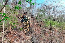 Naxal Attack On Security Forces Foiled in Aurangabad, Bihar