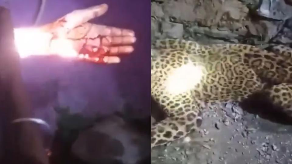 Man Kills Leopard With Bare Hands In Uttarakhand
