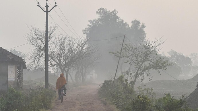 IMD forecasts cold wave conditions across Northwest India for next 5-6 days