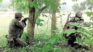 Five Maoists Killed In Encounter With Security Forces In Narayanpur District, Chhattisgarh