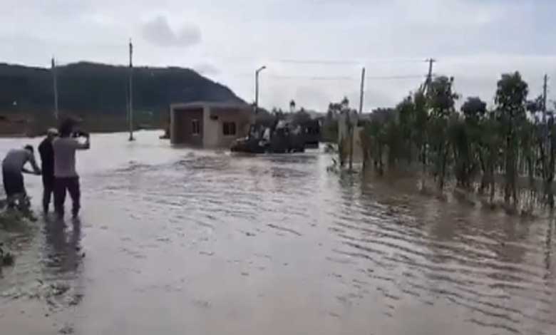 Heavy rain lashes Andhra Pradesh 