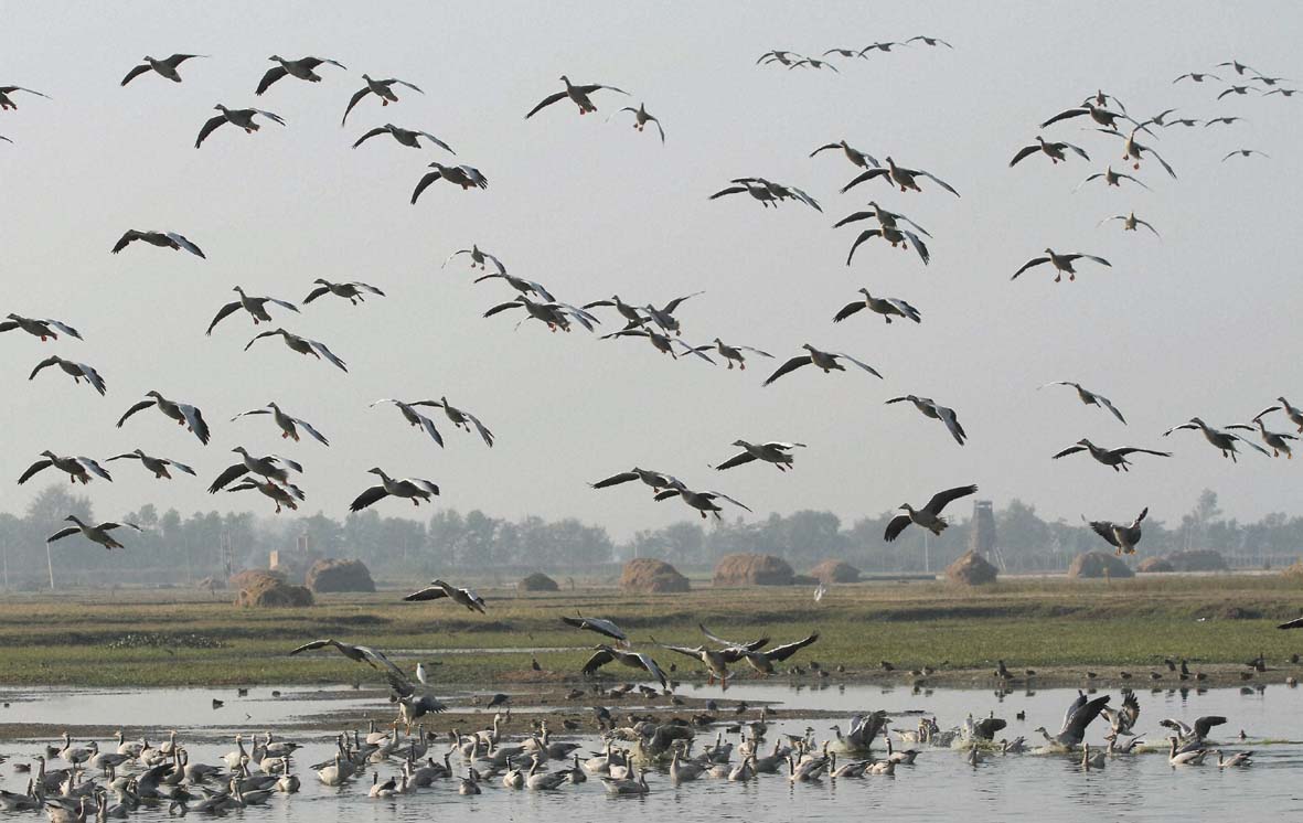 India Adds 4 New Ramsar Sites, taking total to 89