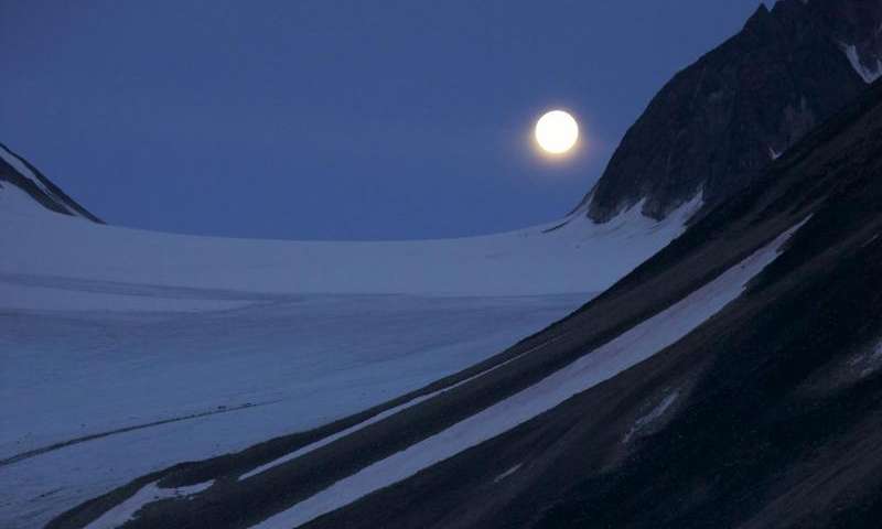 moonlightdrivesmarinecreaturesinarcticwinter